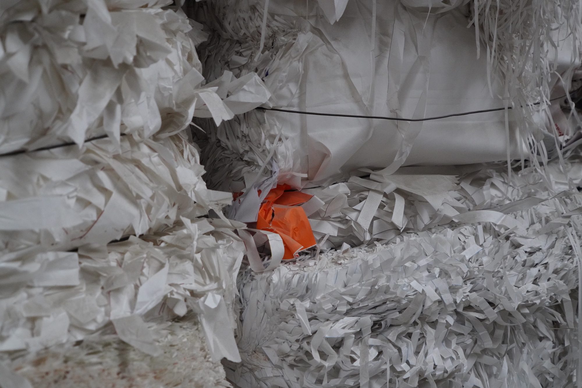 Gepresste Altpapierballen auf dem Betriebsgelände
